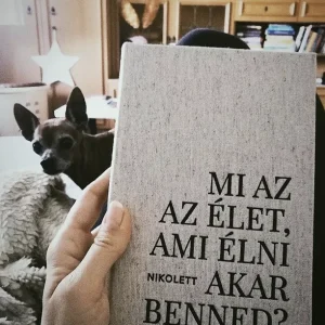 naplót olvasó rajongó