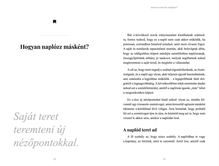 napló minta 1.